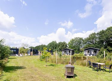 Tiny House voor 2 op groen park in Drenthe - 28