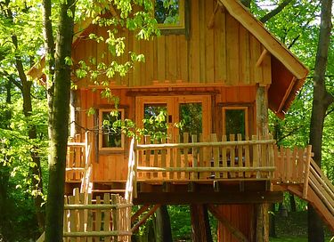 Cabane dans les arbres dans le Brabant-Septentrional (4 personnes) - 13