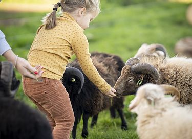 Overnachten in een authentieke boerderij - 20