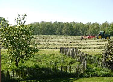 Mooie familielodge in een prachtige omgeving  - 32