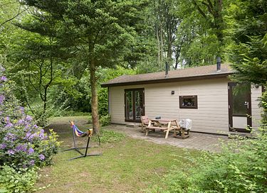 Mooi gelegen vakantiehuis midden op de Veluwe - 4