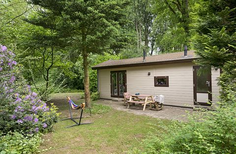 Mooi gelegen vakantiehuis midden op de Veluwe - 4