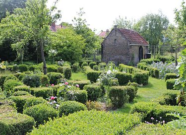 Charmant vakantiehuisje in Zeeuws dorp (4p) - 25