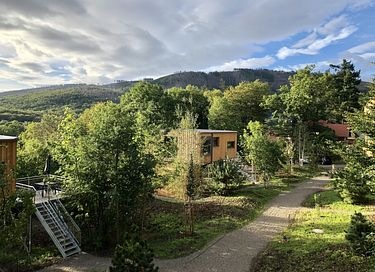Boomhut (6p) in het Harz gebergte - 28