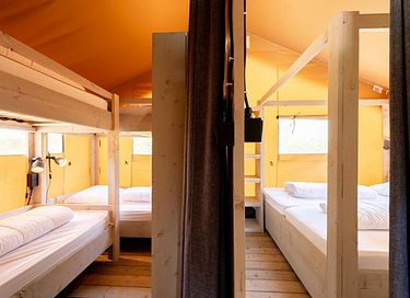 Luxe glamping op de Veluwe - 11