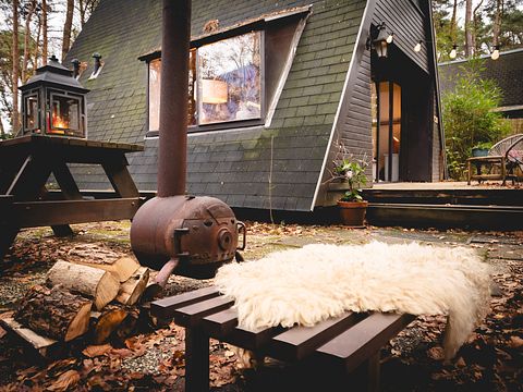 Knus A-frame huisje in de Belgische bossen - 3