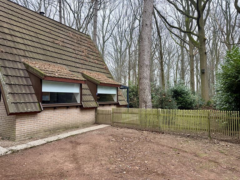 Hundefreundliches Waldhaus - 1