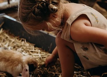 Glamping inmitten von Kühen in einer waldreichen Gegend - 26