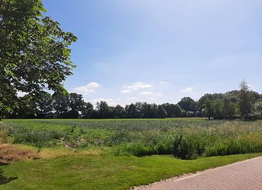 Natuurhuisje met omheinde tuin - 22