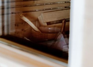 Luxury apartment with sauna in Austria - 14