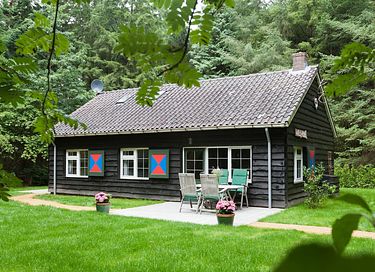 Knus boshuisje midden in de Veluwe - 2