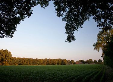 Glamping inmitten von Kühen in einer waldreichen Gegend - 39
