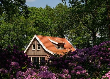 Vakantie in Overijssel met privé sauna - 24