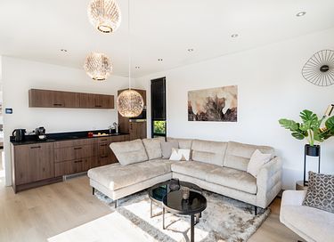 Luxury stay in the dunes of North Holland - 8