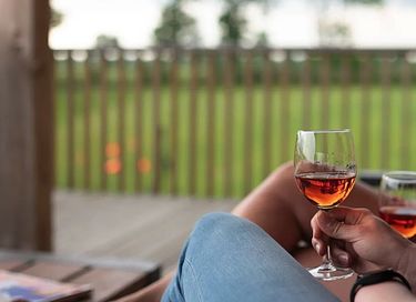 Luxe lodge in het weiland met privé hottub - 27