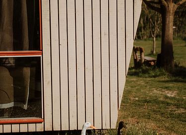 Une petite maison architecturale dans la nature - 6