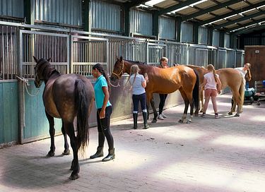  Glamping on horse farm near the coast - 15