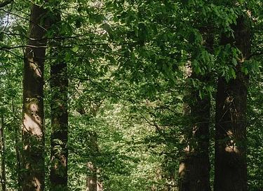 Wunderschöne Villa inmitten der belgischen Natur - 27