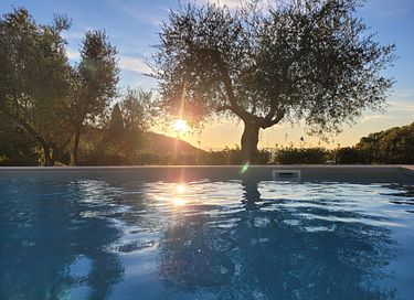 Appartement authentique au milieu des oliviers - 20