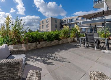 Appartement pour chiens à Texel - 11