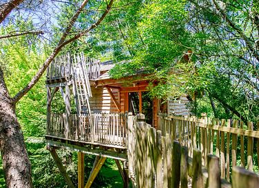 Boomhut met panoramisch uitzicht
