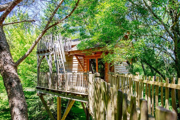 Boomhut met panoramisch uitzicht - 1