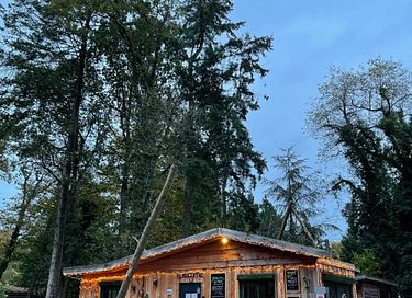 Sterren kijken vanuit je bed in deze glamping - 6