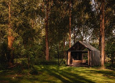 Verstecktes Glashaus in einem bewaldeten Garten - 8