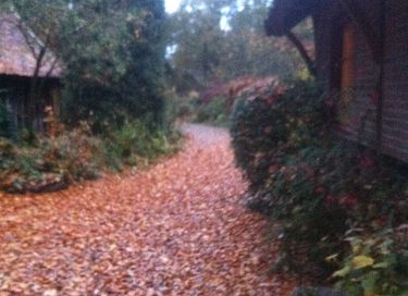 Prachtig natuurhuisje als in een sprookje - 40