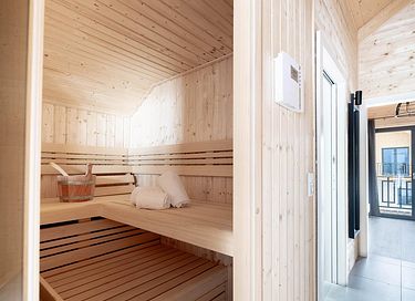 Luxury apartment with sauna in Austria - 15