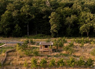 A charming place to stay surrounded by nature - 18