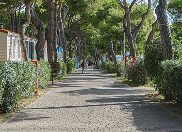 Glamping aan zee vlakbij Venetië in Italië - 12