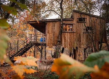 Prachtige boomhut (4p) midden in de natuur - 43