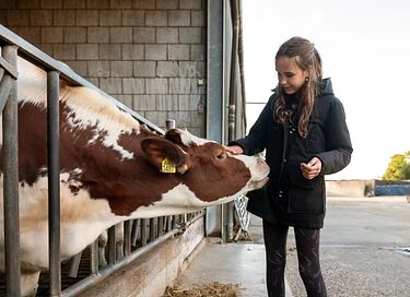 Glamping at Dairy Cattle & Calves Farm - 5