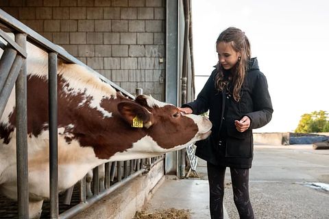 Glamping at Dairy Cattle & Calves Farm - 5