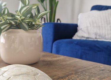 Wellness-Ferienhaus mit Whirlpool in Gelderland - 9