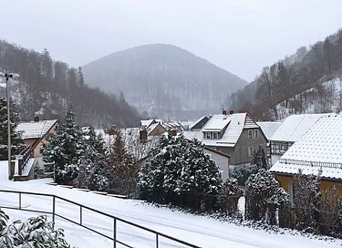 Romantic holiday home in the Harz Mountains - 34