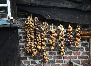 Historische B&B in Limburg - 7