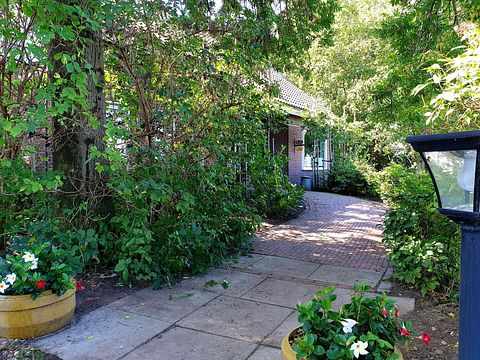 Boerderij B&B in landelijk Noord-Amsterdam - 3