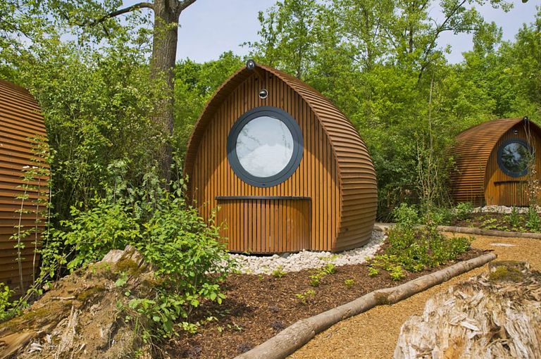 Leuke pod midden in een natuurgebied - 1
