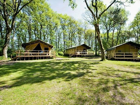 Safari tent in beautiful surroundings - 3