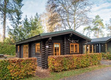 Schlafen in einer kanadischen Blockhütte - 2