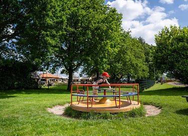 Glamping at Young Cattle Farm - 5