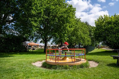 Glamping at Young Cattle Farm - 5