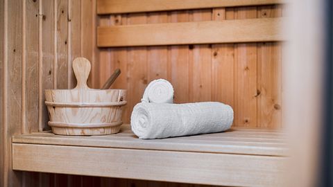 Logement de vacances avec sauna dans les forêts de Veluwe - 3
