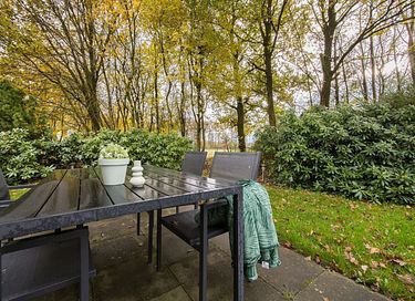 Hondvriendelijke boshuisje in Drenthe - 33
