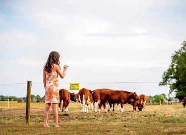 Duurzame boerderijvakantie in Brabant - 6