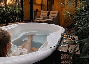 Lodge dans les bois avec bain à remous privé à Drenthe