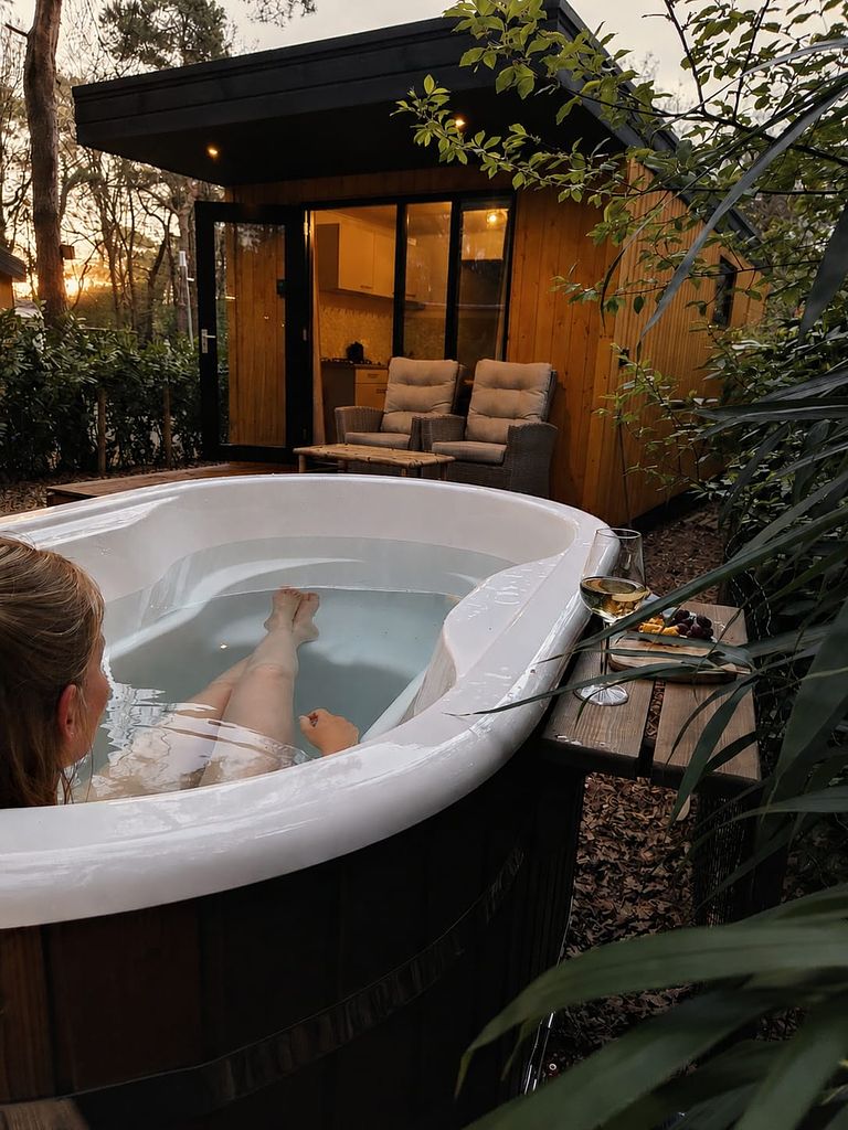 Boslodge met privé hottub in Drenthe - 1