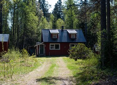 Off-grid Cabin in the middle of Swedish nature - 2